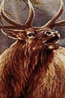 Ковер Hunnu сувенир 6S1299/82